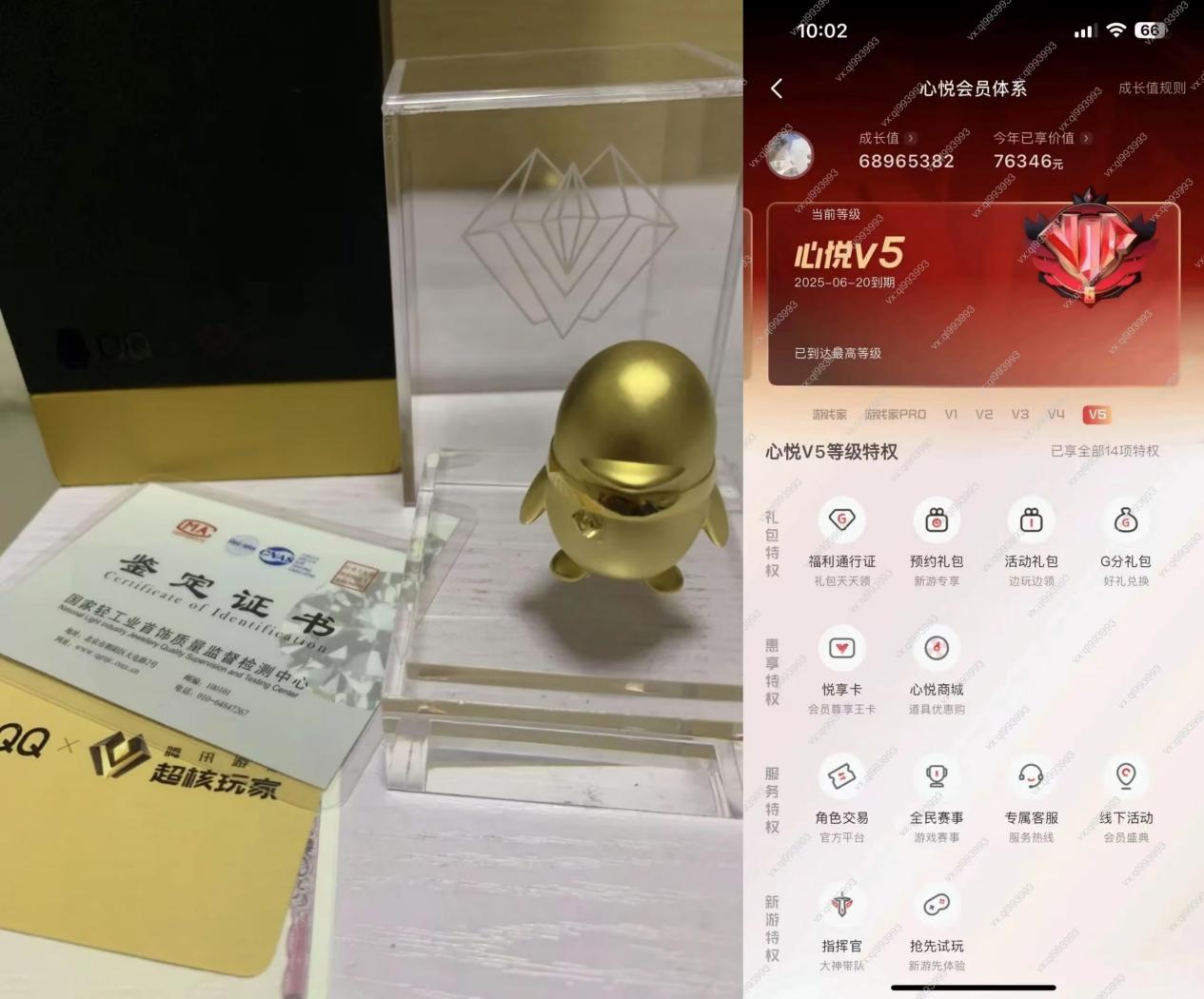 给腾讯游戏充了600万，收到金企鹅认证，有玩家称一般要一年充值100万以上- 新识研究所